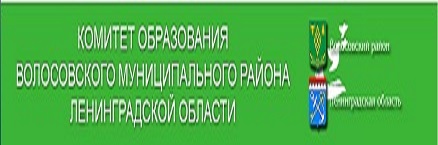 Муниципальное образование Волосовский муниципальный район Ленинградской области..